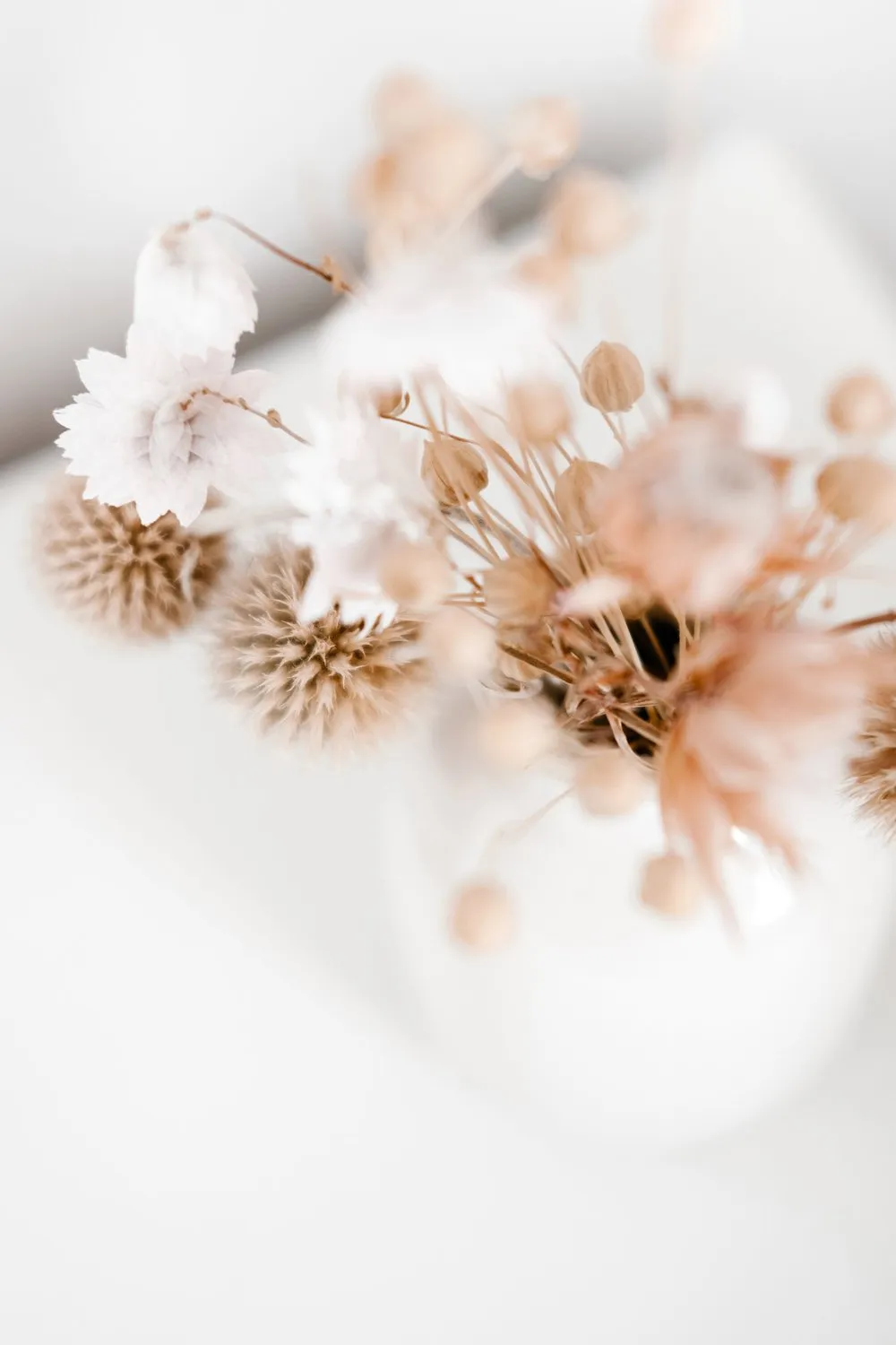 Dried flowers in soft, neutral tones